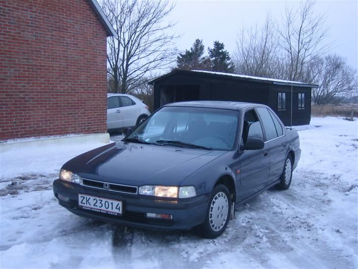 Honda accord (vinterbil) billede 6