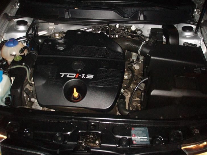 Seat leon TDI - Den vilde moter ;) billede 6