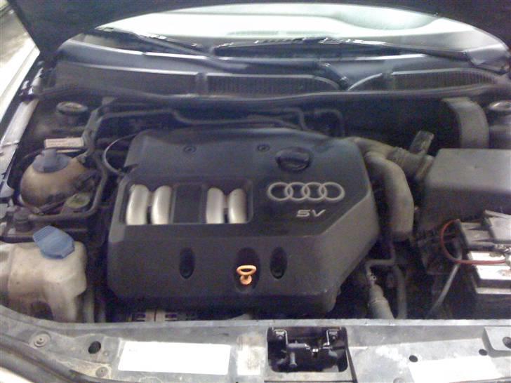 Audi A3 8L BYTTET billede 11