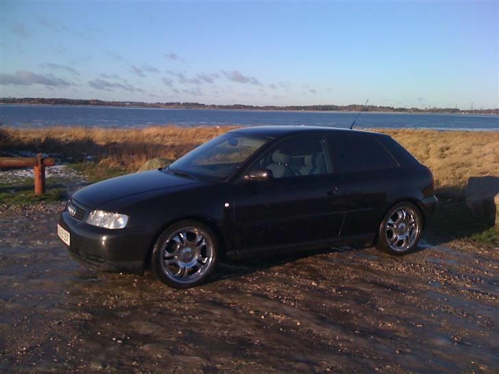 Audi A3 8L BYTTET billede 18