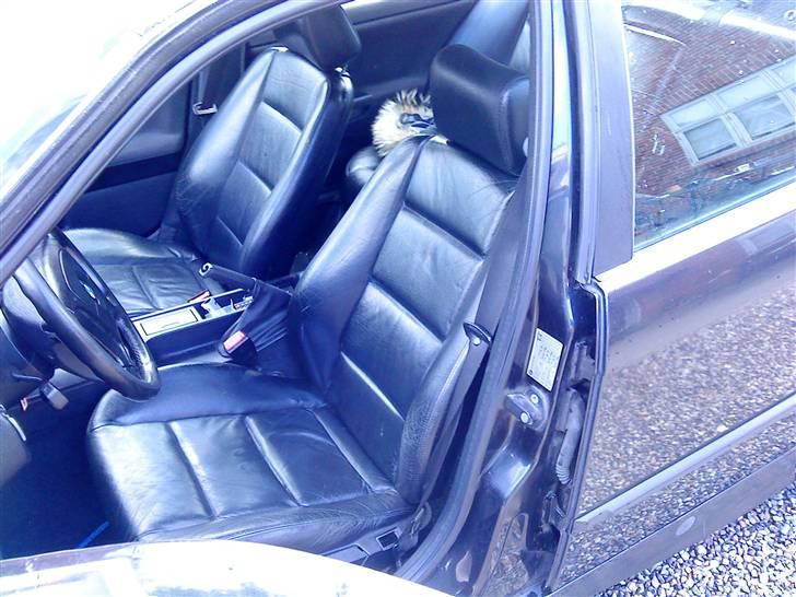 BMW e36 316i sedan billede 7