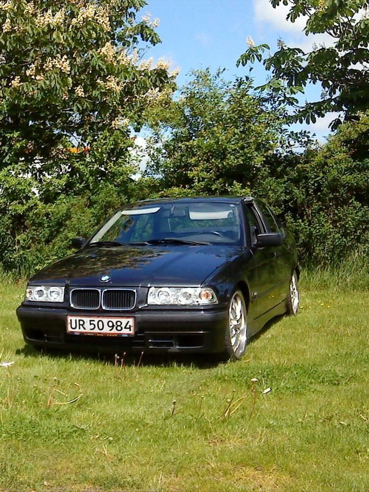 BMW e36 316i sedan billede 10