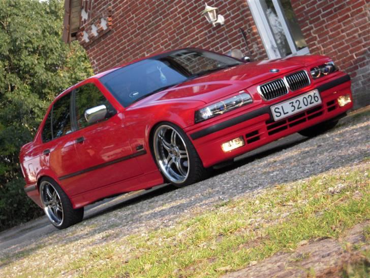 BMW E36   billede 4