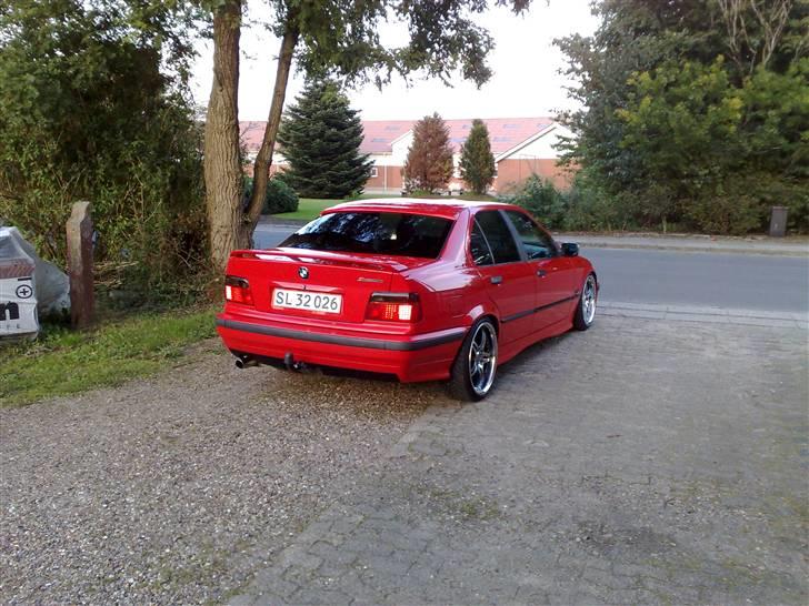 BMW E36   billede 9