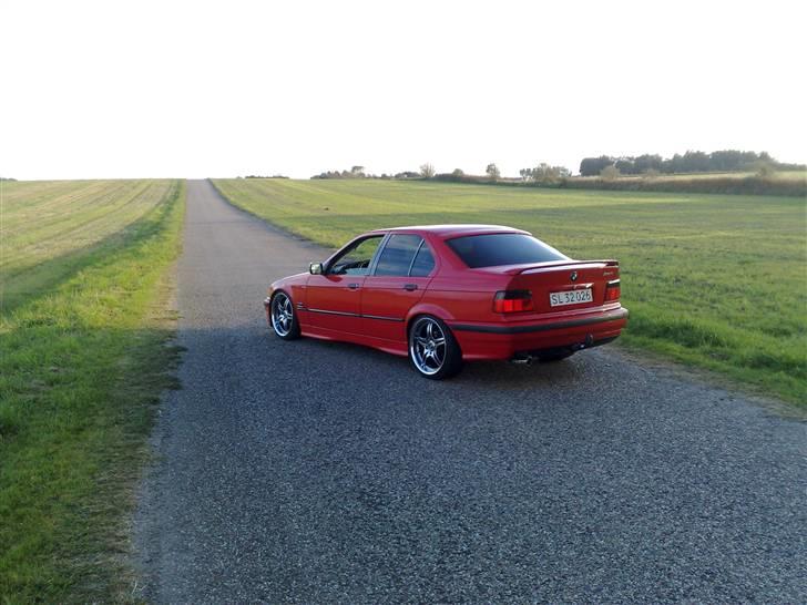 BMW E36   billede 11