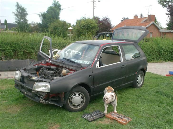 VW golf 3 - sommer 2009 billede 13