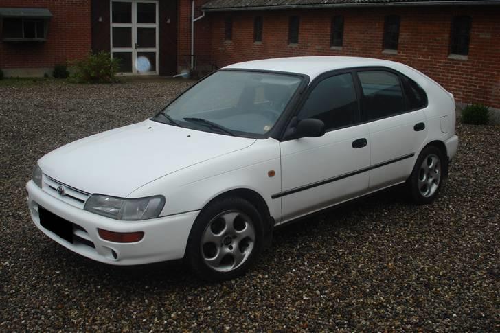 Toyota corolla xli billede 2