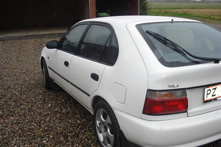 Toyota corolla xli billede 5