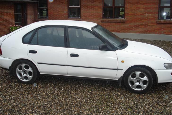 Toyota corolla xli billede 12