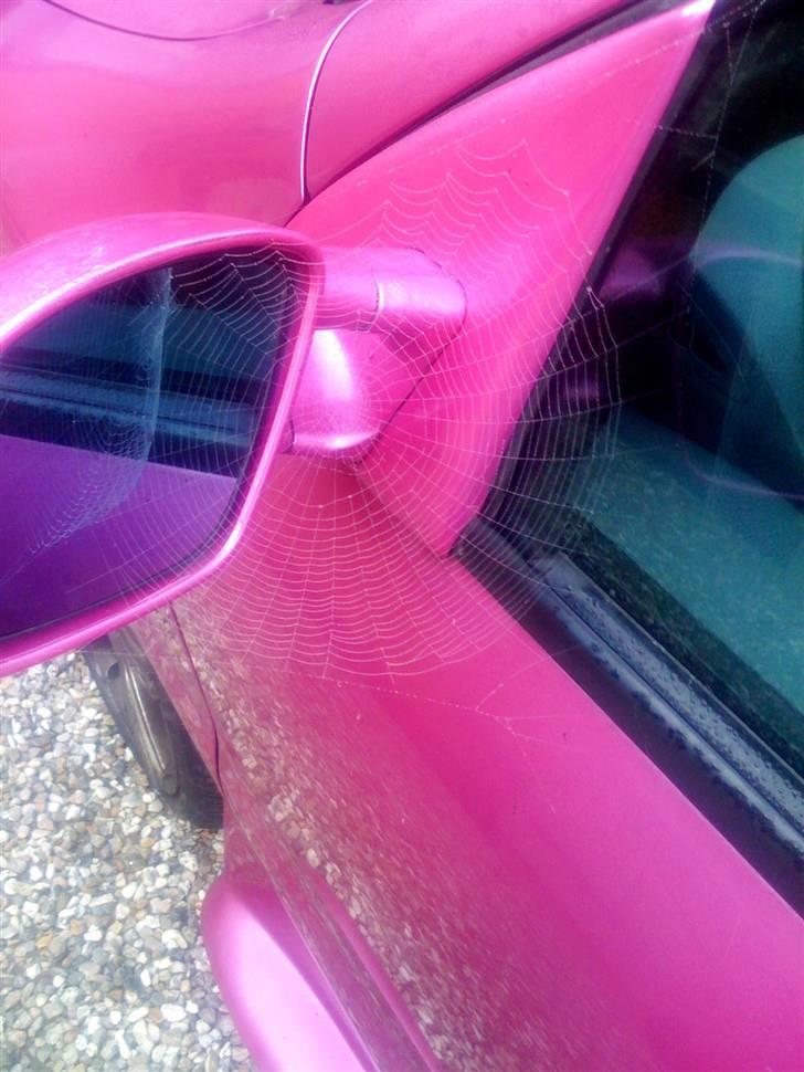 Fiat Bravo billede 12