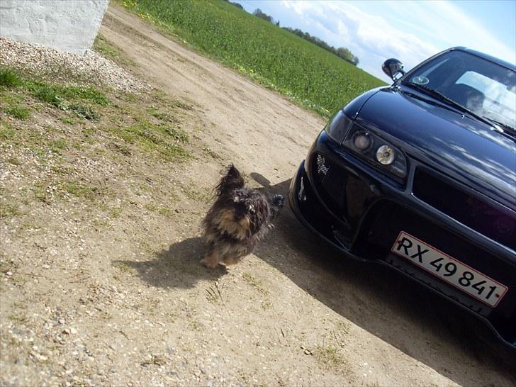 Toyota Corolla GSI 20v billede 7