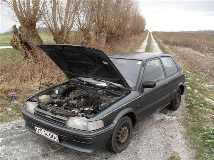 Toyota Corolla <skrottet> billede 6