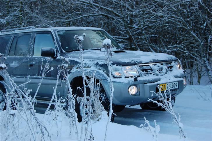 Nissan Patrol GR billede 16