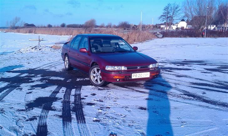 Honda Accord cb3 2,0i billede 1