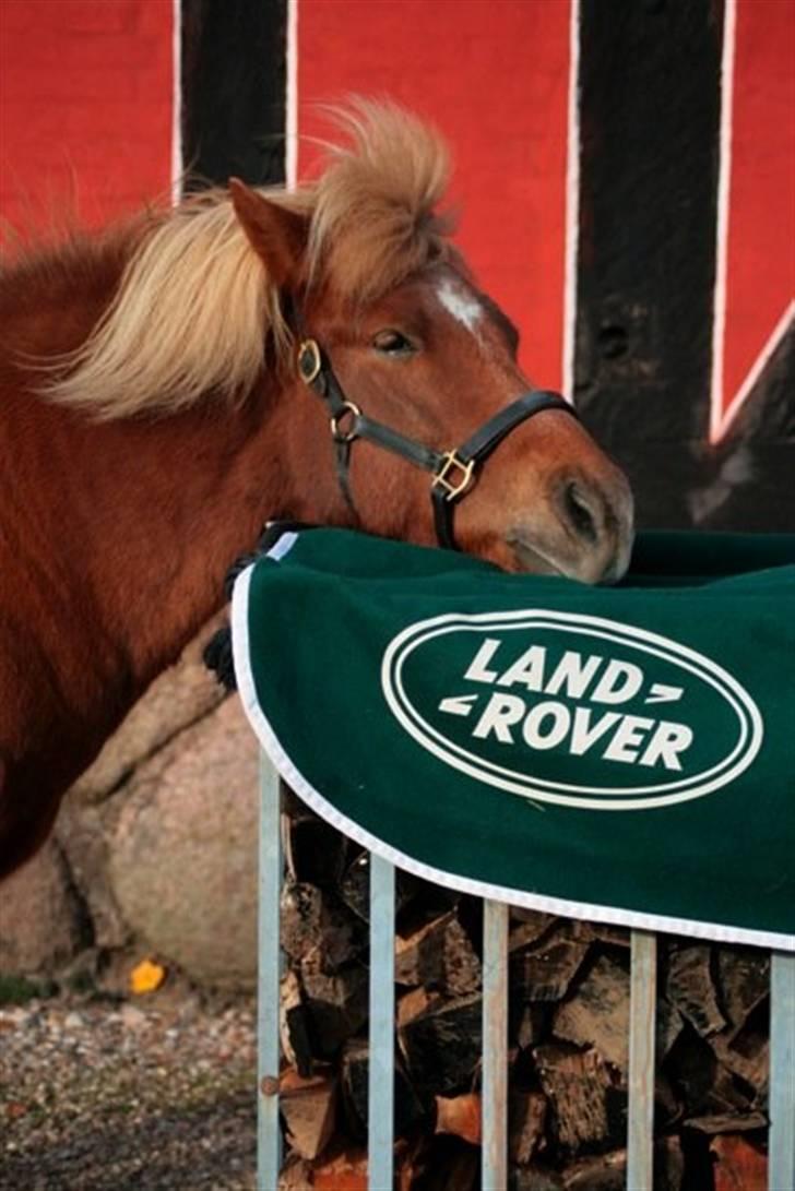 Land Rover Defender 4x4  - En sej hestekræft.. billede 11