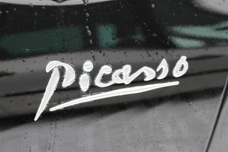 Citroën Grand C4 Picasso E6G - Picasso LOGO billede 20