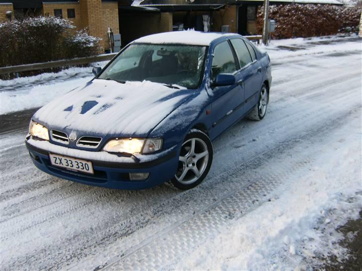 Nissan Primera 2,0 SLX (SOLGT):( billede 16