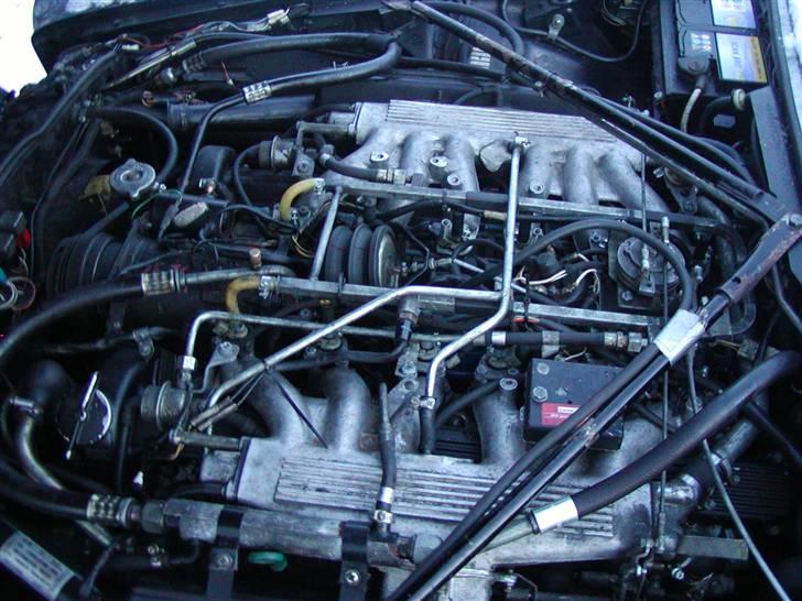 Jaguar XJ 12 H.E. Souvereign   - Lækkert med en ordentlig motor ;) billede 12