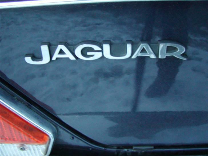 Jaguar XJ 12 H.E. Souvereign   billede 17