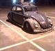 VW Bobbel