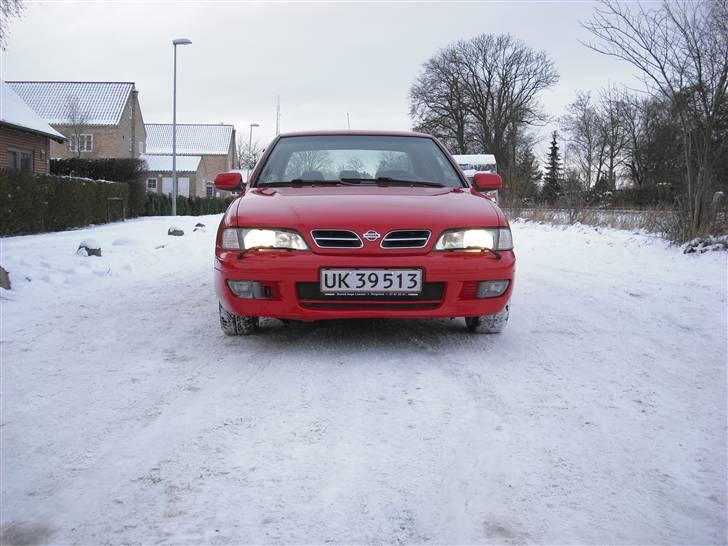 Nissan primera p11 Solgt billede 2