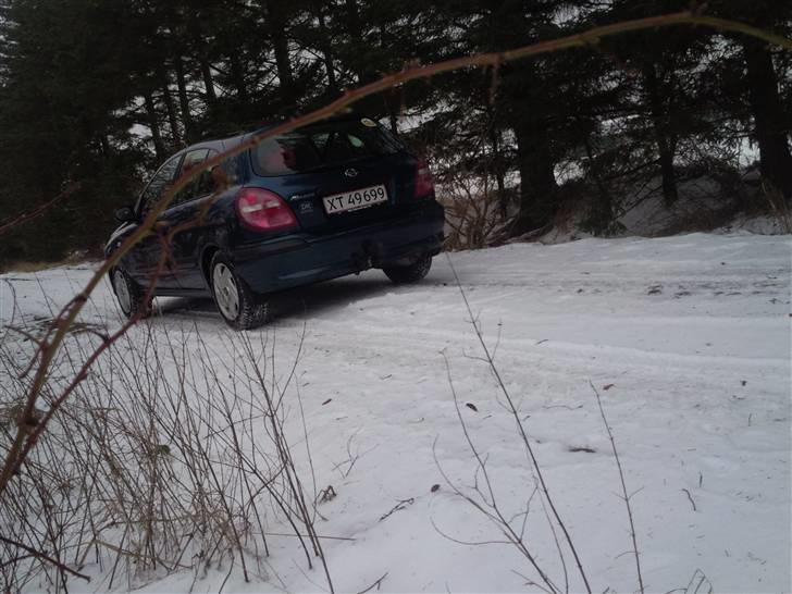 Nissan Almera N16 billede 4