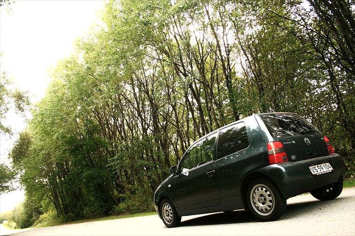 VW Lupo 1.2 TDI 3L - "Velkommen i den grønne lund" :) - uha da! 

(vinterfælge) billede 2
