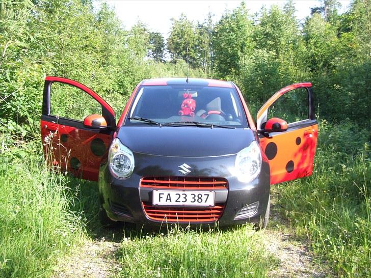 Suzuki Alto GLS A/C "Marie" - marie klar til at flyve billede 11