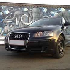 Audi A3 8P (Sportback)