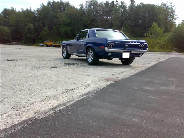 Ford Mustang HT billede 1