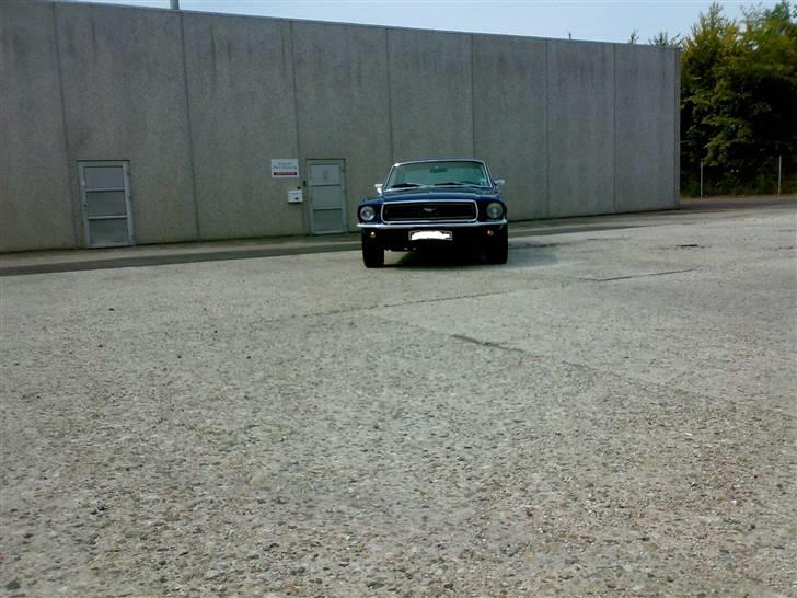 Ford Mustang HT billede 2