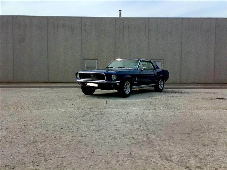 Ford Mustang HT billede 3