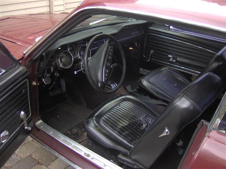 Ford Mustang HT billede 15