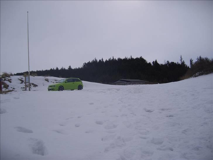 Seat ibiza GTI cupra billede 16