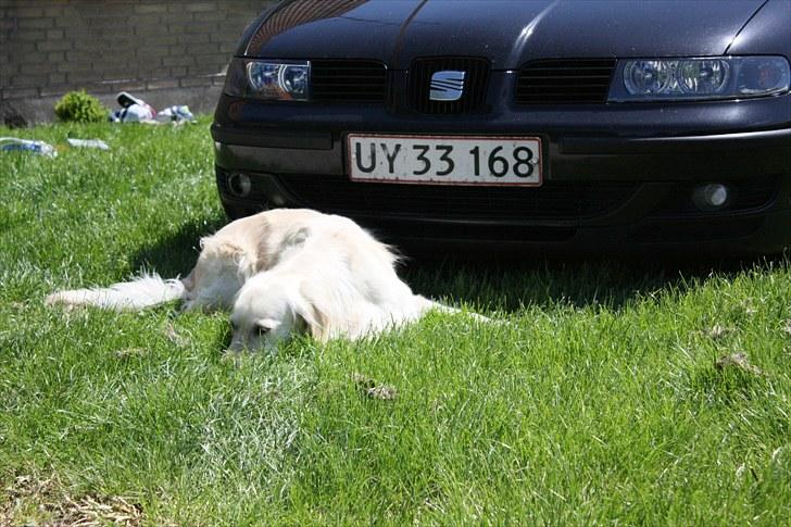 Seat Leon TDI Sport/Stella TIL SALG billede 3