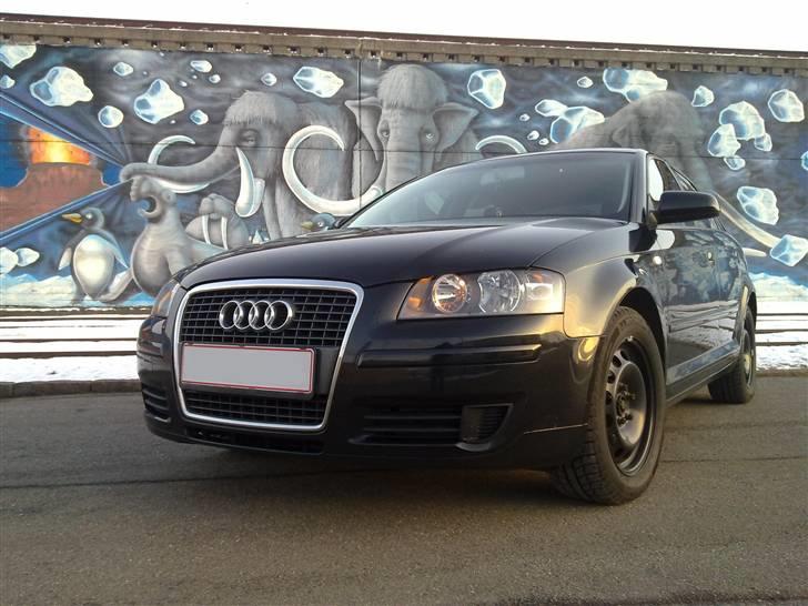 Audi A3 8P (Sportback) billede 3