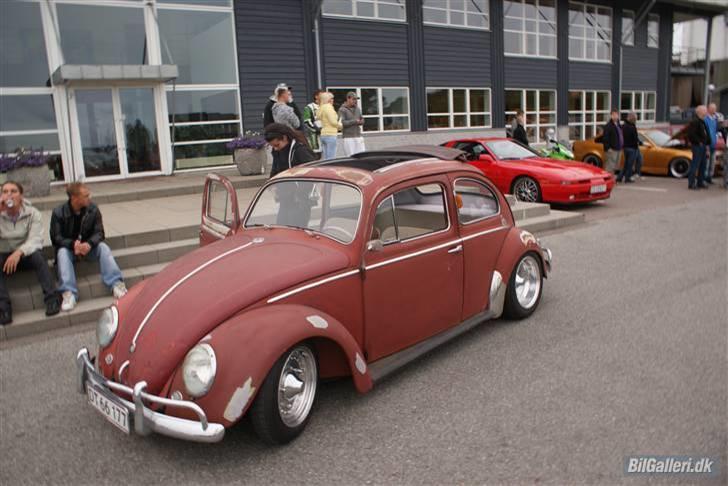 VW bobbel billede 21