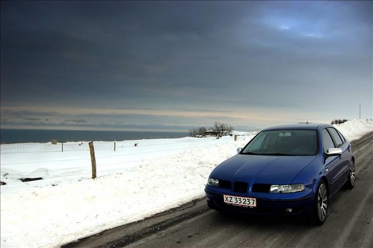 Seat Leon TDI Sport billede 6