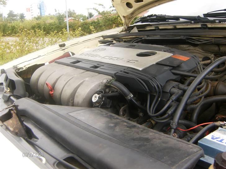 VW Passat stc VR6 SOLGT billede 6