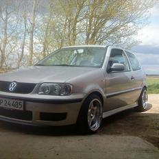 VW Polo 6n2  1,4 16v