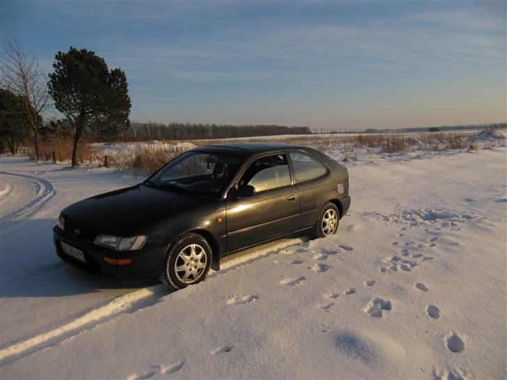 Toyota corolla billede 1