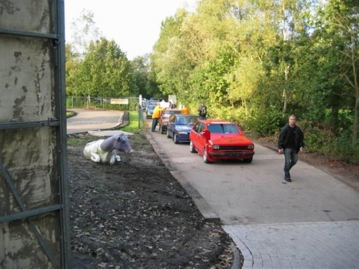 Ford fiesta - holder i kø til db måling. billede 15