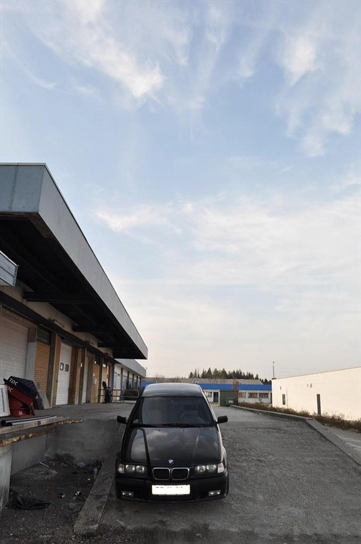 BMW 323TI Compact M billede 5