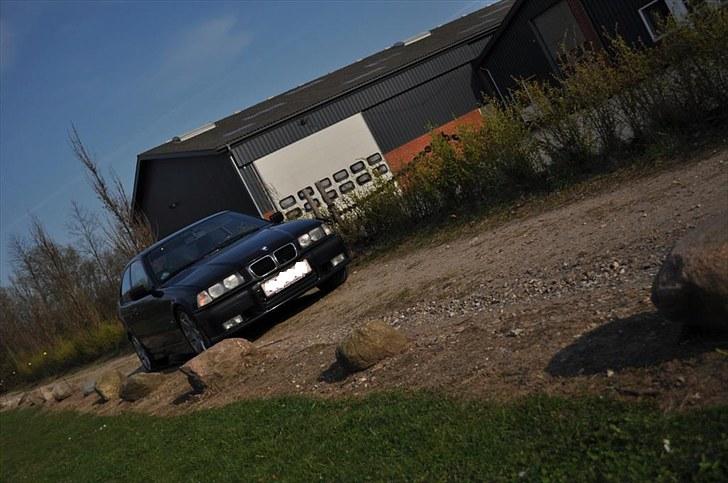 BMW 323TI Compact M billede 10