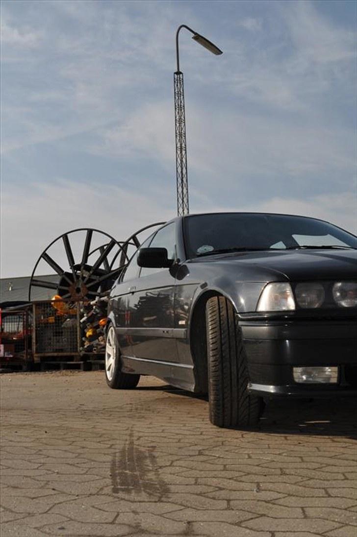 BMW 323TI Compact M billede 15