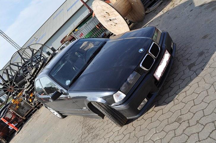 BMW 323TI Compact M billede 16