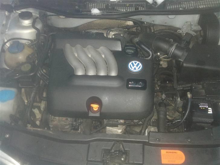 VW Golf 4 Trendline billede 3