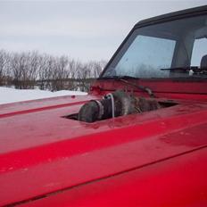 Toyota bj73 landcruiser