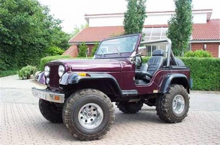 Jeep Cj5 - Klædt af til sommer brug billede 3