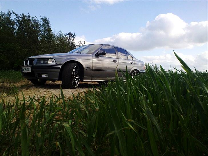 BMW e36 320 i solgt billede 4
